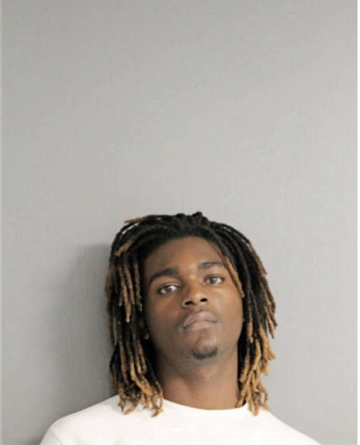 DARYL L PAGE, Cook County, Illinois
