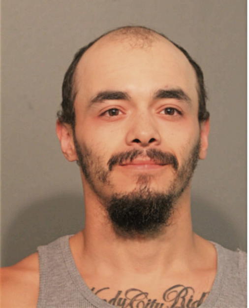 LUIS A QUINONES JR, Cook County, Illinois