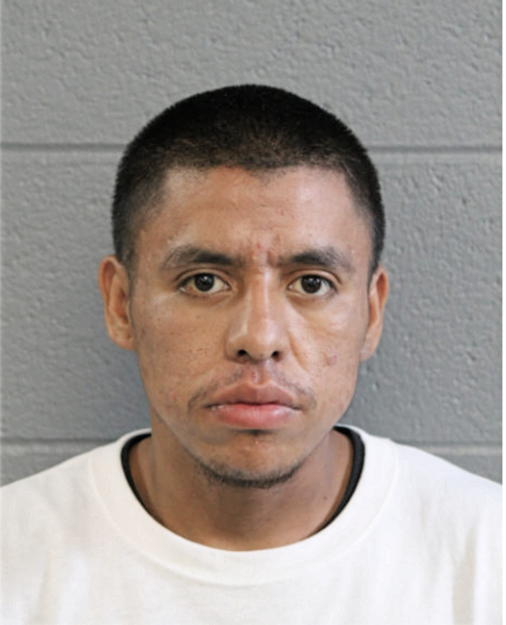 RUBEN G SANDOVAL, Cook County, Illinois
