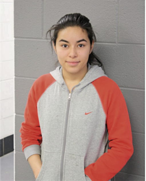 LAURA P VILLEGAS, Cook County, Illinois