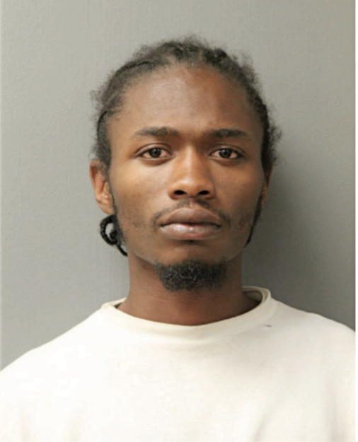 LARRY T WALKER, Cook County, Illinois