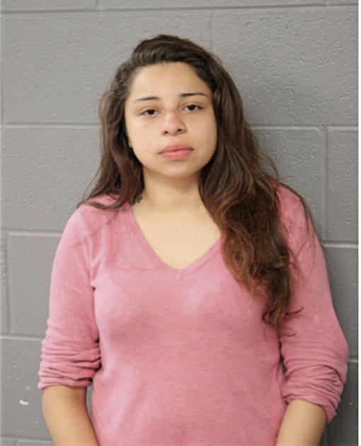 MAYA N BRECEDA, Cook County, Illinois