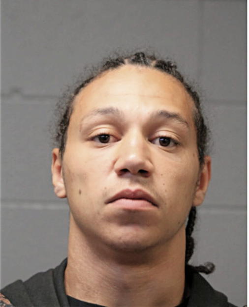 JESSE A COX, Cook County, Illinois
