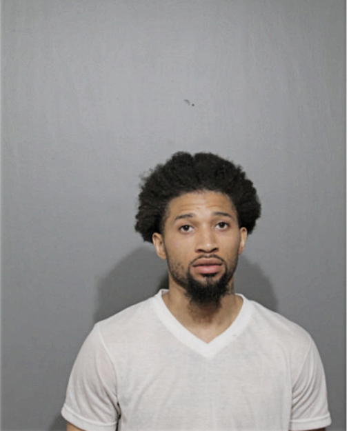 DANIEL D JOHNSON, Cook County, Illinois
