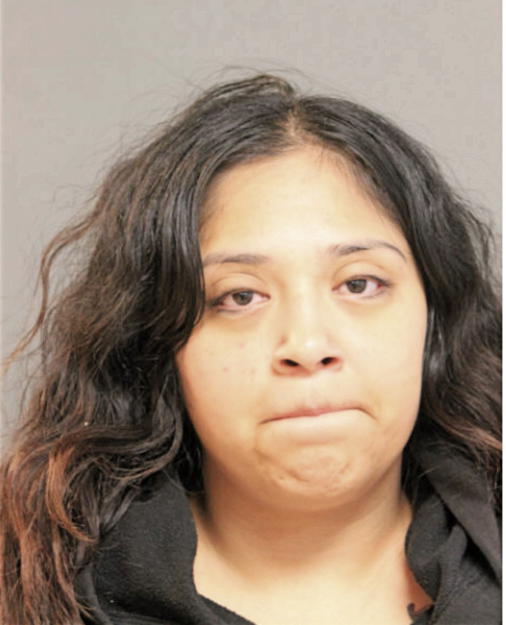 ISAMAR FLORES, Cook County, Illinois