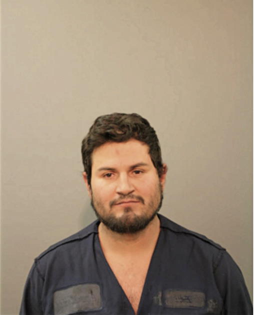 RAUL FLORES, Cook County, Illinois
