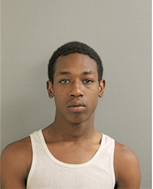 ASHANTE GOINS, Cook County, Illinois
