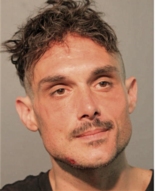 LOUIS LANCILOTI, Cook County, Illinois