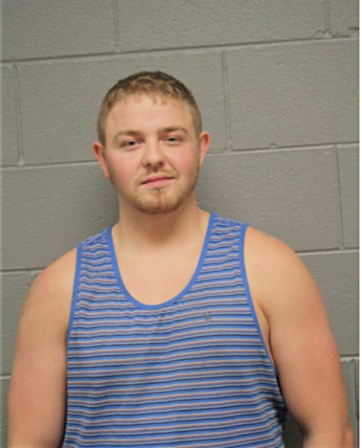 TYLER RONALD LEVY, Cook County, Illinois