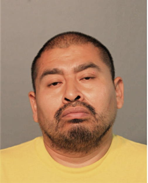 MYNOR G LOPEZ, Cook County, Illinois