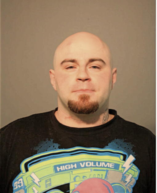 DAVID A MASCIOLA, Cook County, Illinois