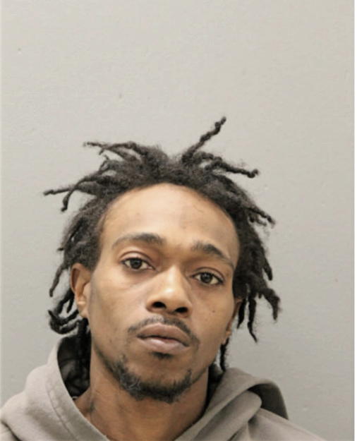 STEVEN L MCBRIDE, Cook County, Illinois
