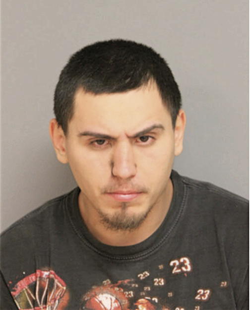 NICHOLAS J MOYA, Cook County, Illinois