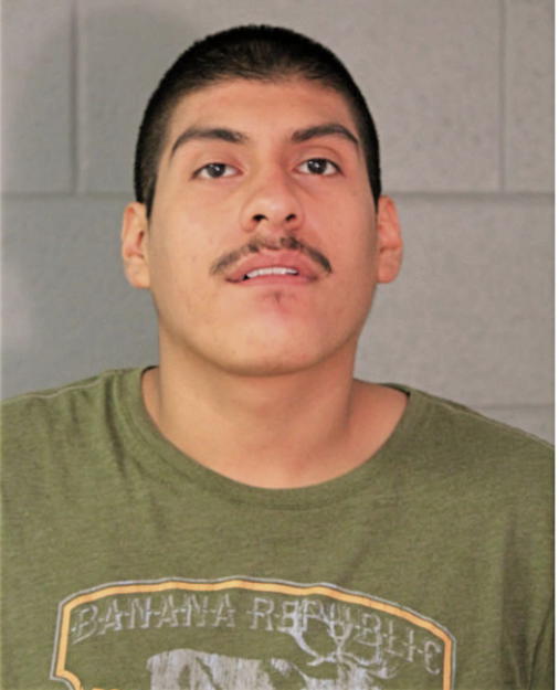 JESUS ORTEGA, Cook County, Illinois