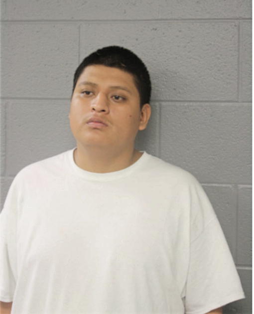 JUAN SALGADO, Cook County, Illinois