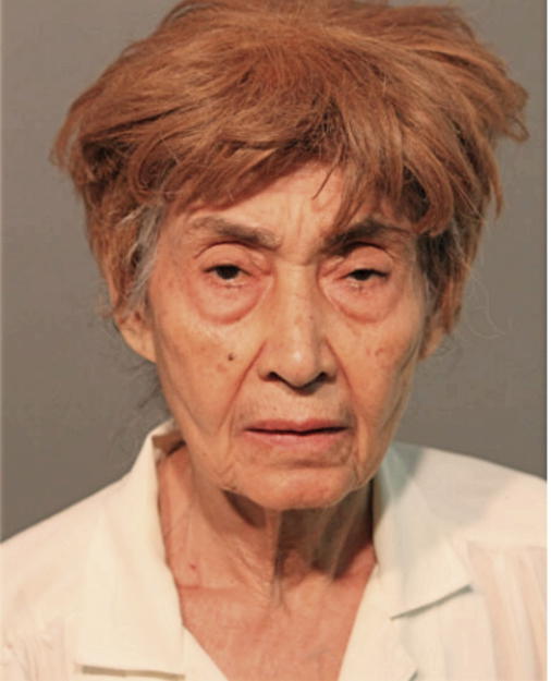 CECILA SOTO, Cook County, Illinois