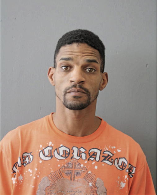 MICHAEL S STEWART, Cook County, Illinois