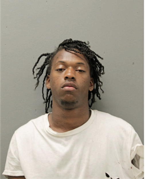 DEVIN J VESTAL, Cook County, Illinois