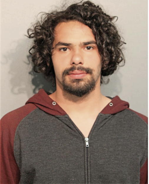 KRISTOFER Z WILBERG-PELAYO, Cook County, Illinois