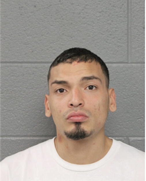 HECTOR G ALVAREZ, Cook County, Illinois
