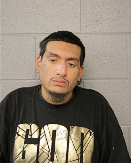 HUGO C ANDERSON, Cook County, Illinois