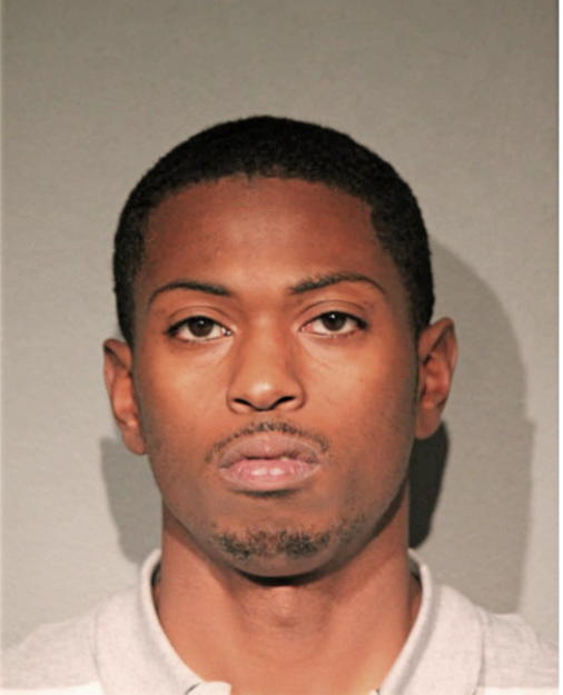 MICAN D ANDERSON, Cook County, Illinois