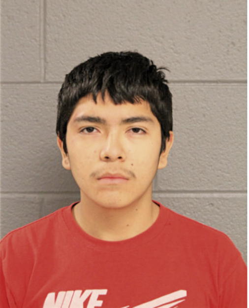 LUIS M AVALOS, Cook County, Illinois