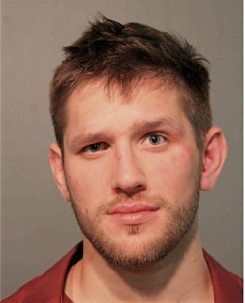 BRANDON N BIERBRODT, Cook County, Illinois