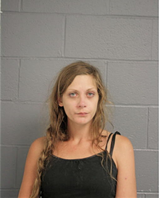 AMANDA L BUCHYNSKI, Cook County, Illinois