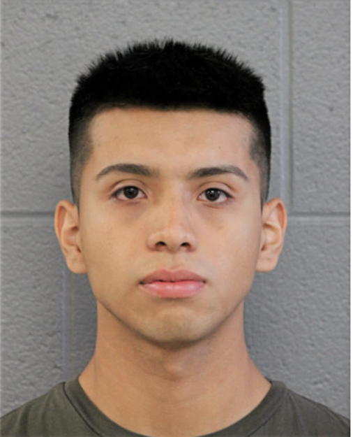 GABRIEL J CHICANCHAM, Cook County, Illinois