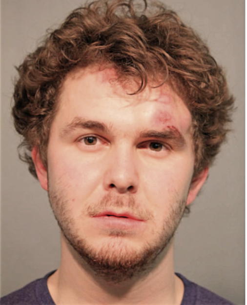 CHRISTOPHER J CORTEZI, Cook County, Illinois