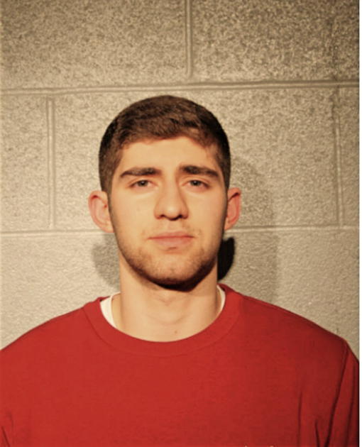 VINCENT A DECICCO, Cook County, Illinois