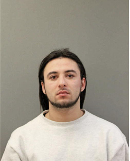 DAMEIN A DIXON, Cook County, Illinois