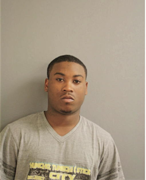 MICHAEL S ELAM, Cook County, Illinois