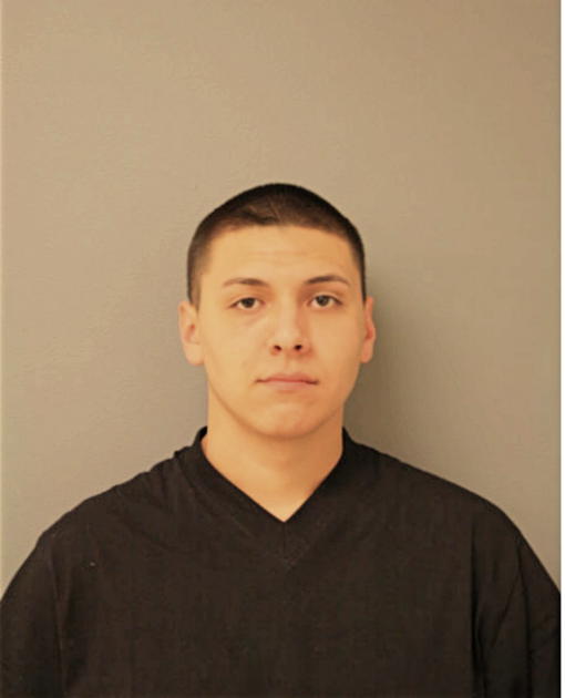 CARLOS A FIGUEROA, Cook County, Illinois