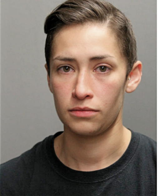 CHYNA S GONZALEZ, Cook County, Illinois
