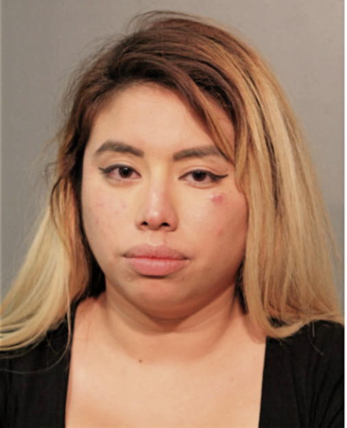 LISSETTE HERNANDEZ, Cook County, Illinois