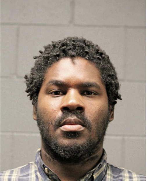 DARRYL P JOHNSON, Cook County, Illinois