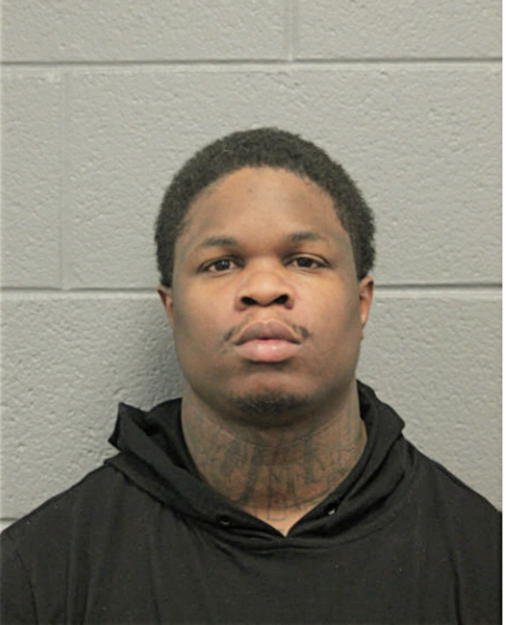 WILLIAM S LANE, Cook County, Illinois