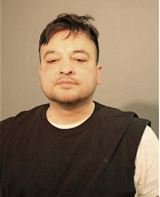 HUGO H LEON, Cook County, Illinois