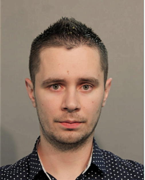 SASA MARJANOVIC, Cook County, Illinois