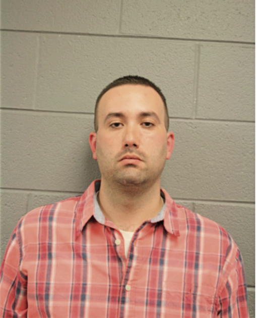 DANIEL J MARZIANI, Cook County, Illinois
