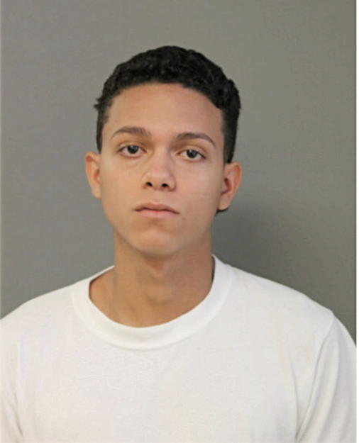 DENNIS A MELENDEZ, Cook County, Illinois