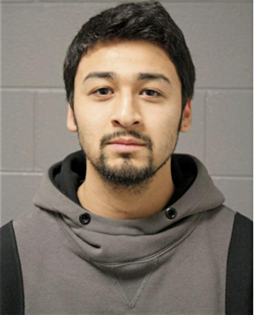 ADRIAN NEGRETE, Cook County, Illinois
