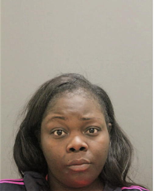 FOLASADE C OGUNYEMI, Cook County, Illinois