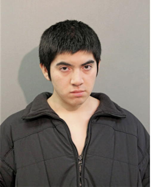 JONATHAN HOLGUIN ORTIZ, Cook County, Illinois