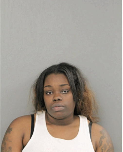 BRE ANA P JOHNSON, Cook County, Illinois