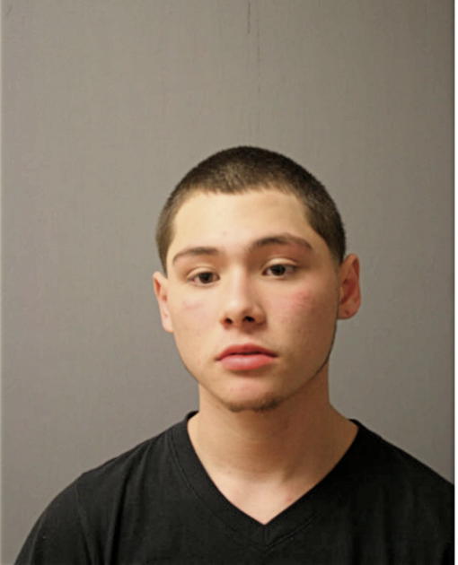 JOSE E PLASCENCIA, Cook County, Illinois