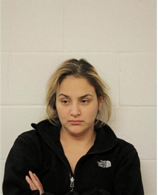 ALEJANDRA S RIVAS, Cook County, Illinois