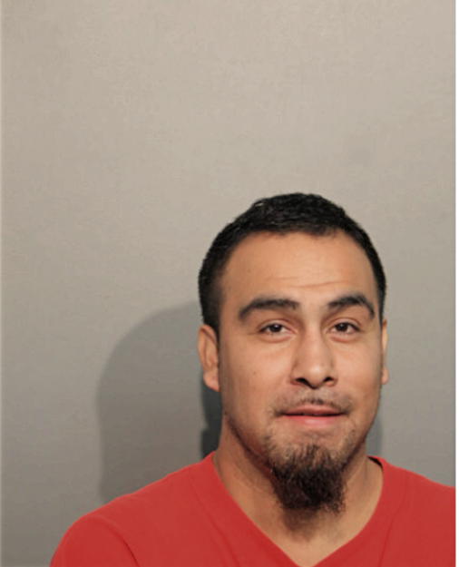 MARIO SILVA, Cook County, Illinois